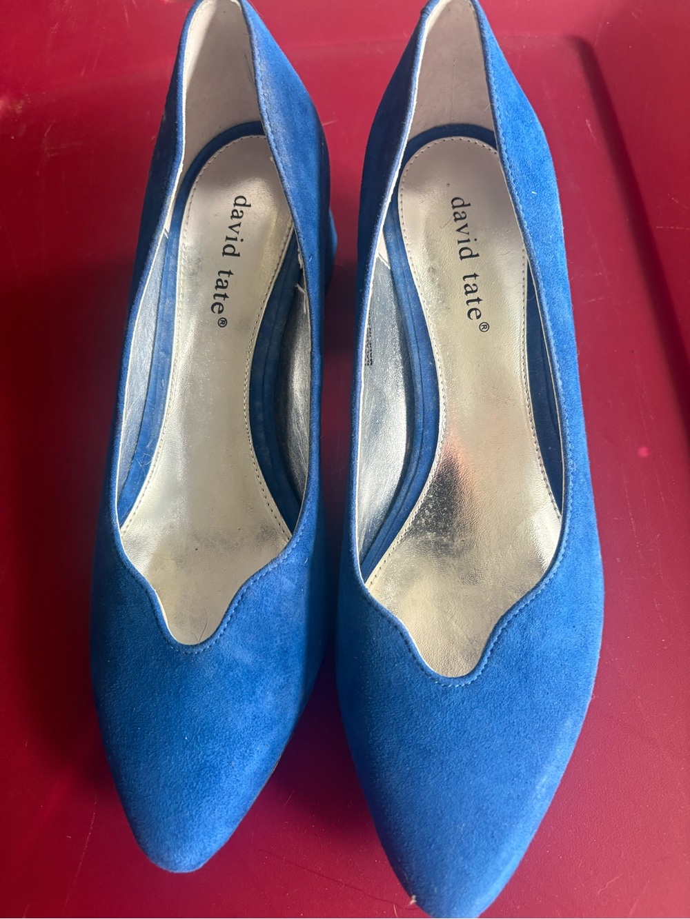 David Tate Royal Blue Suede Pointed Pumps